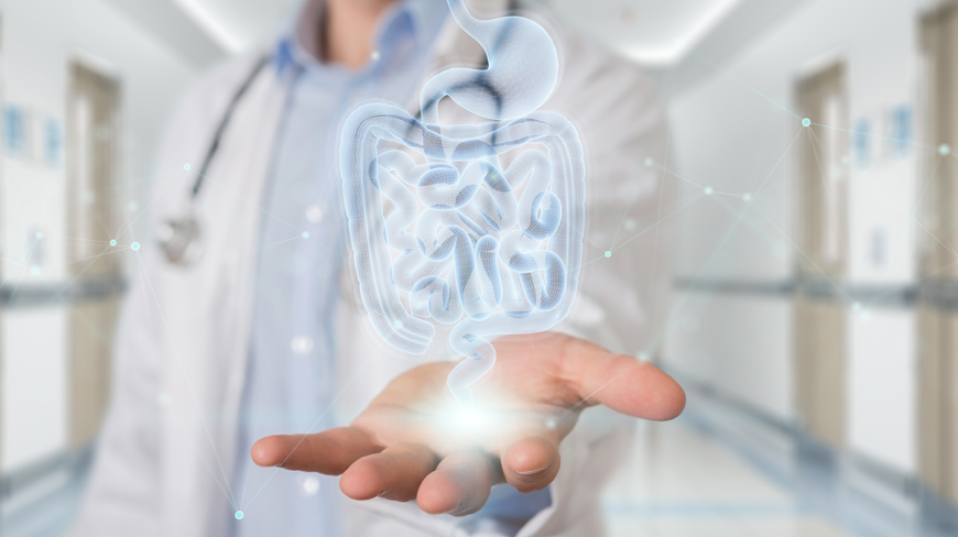 Primary care and gastroenterology consultation